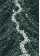 A winding road through a dark green landscape