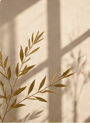 A branch casting shadows across a pale wall